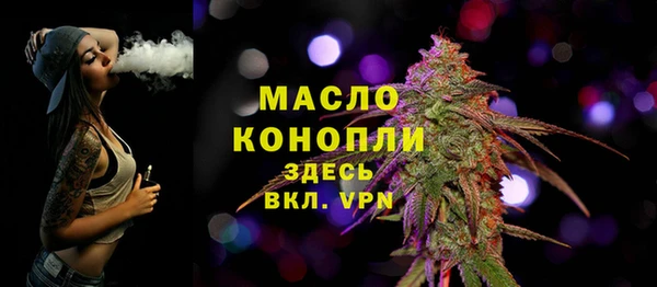 мдпв Заводоуковск