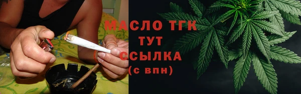 мдпв Заводоуковск