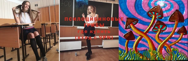 марки lsd Заволжск